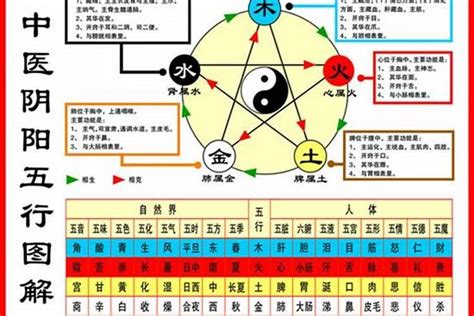 本命五行|如何查自己五行什么命 快速查自己的五行属性